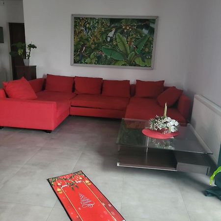 Apartament Na Warszawskiej Gorzów Wielkopolski Eksteriør billede